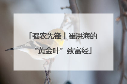 强农先锋丨崔洪海的“黄金叶”致富经