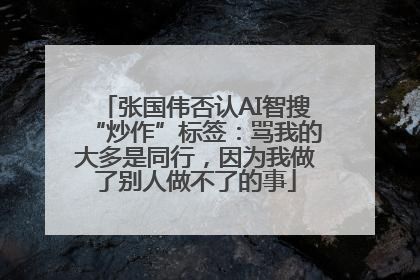 张国伟否认AI智搜“炒作”标签：骂我的大多是同行，因为我做了别人做不了的事
