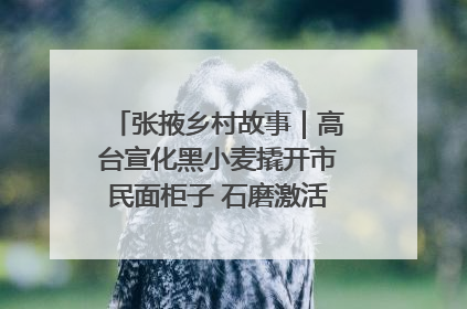 张掖乡村故事｜高台宣化黑小麦撬开市民面柜子 石磨激活村集体钱匣子