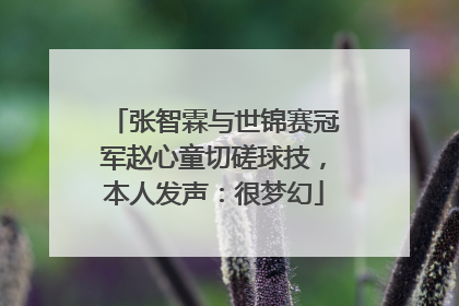 张智霖与世锦赛冠军赵心童切磋球技，本人发声：很梦幻