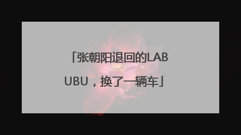 张朝阳退回的LABUBU，换了一辆车