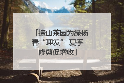 捺山茶园为绿杨春“理发” 夏季修剪促增收