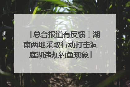 总台报道有反馈丨湖南两地采取行动打击洞庭湖违规钓鱼现象