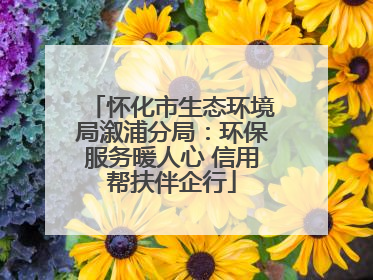 怀化市生态环境局溆浦分局：环保服务暖人心 信用帮扶伴企行