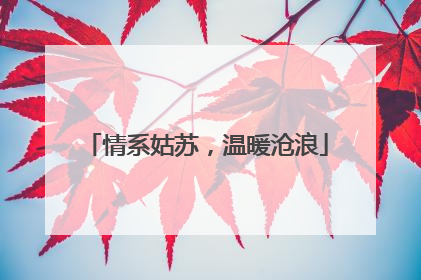 情系姑苏，温暖沧浪