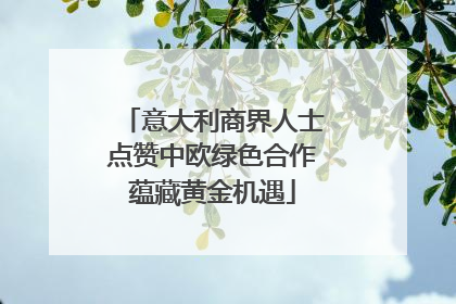 意大利商界人士点赞中欧绿色合作蕴藏黄金机遇