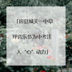 房县城关一中草坪音乐节为中考注入“心”动力
