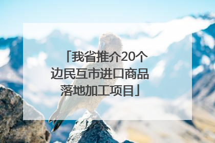 我省推介20个边民互市进口商品落地加工项目
