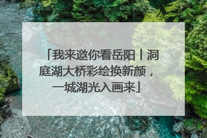 我来邀你看岳阳丨洞庭湖大桥彩绘换新颜，一城湖光入画来