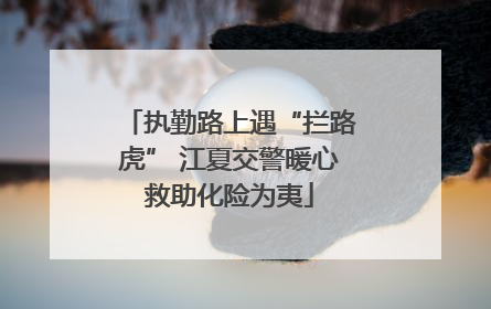 执勤路上遇“拦路虎” 江夏交警暖心救助化险为夷