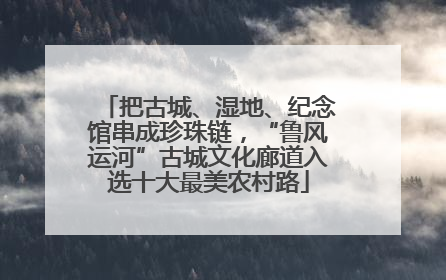 把古城、湿地、纪念馆串成珍珠链，“鲁风运河”古城文化廊道入选十大最美农村路