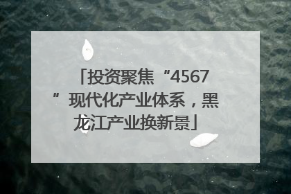 投资聚焦“4567”现代化产业体系，黑龙江产业换新景