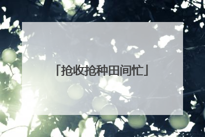 抢收抢种田间忙