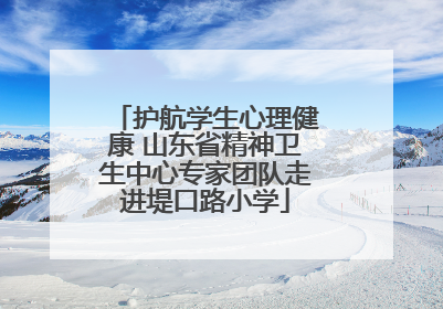 护航学生心理健康 山东省精神卫生中心专家团队走进堤口路小学