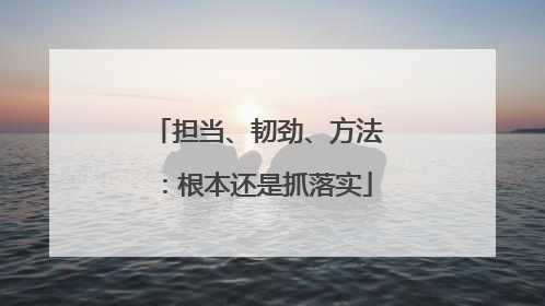 担当、韧劲、方法：根本还是抓落实
