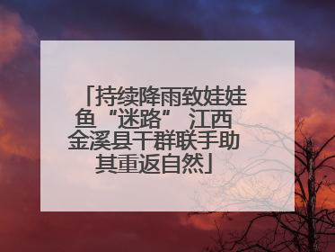 持续降雨致娃娃鱼“迷路” 江西金溪县干群联手助其重返自然