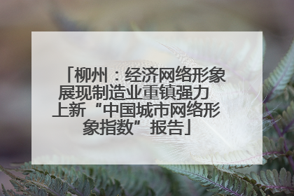 柳州：经济网络形象展现制造业重镇强力 上新“中国城市网络形象指数”报告