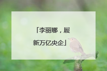 李丽娜，履新万亿央企