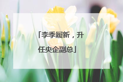 李季履新，升任央企副总