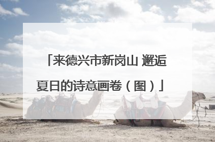 来德兴市新岗山 邂逅夏日的诗意画卷（图）
