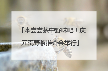 来尝尝茶中野味吧！庆元荒野茶推介会举行