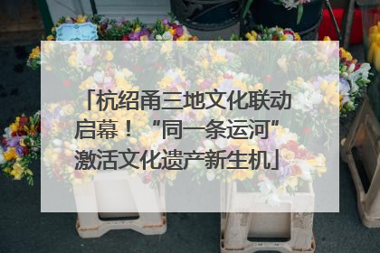 杭绍甬三地文化联动启幕！“同一条运河”激活文化遗产新生机