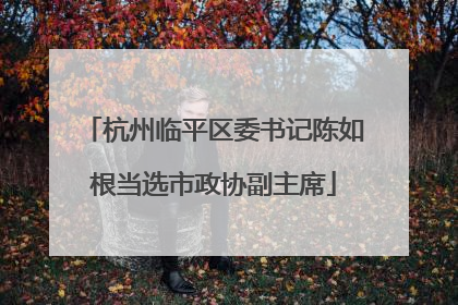 杭州临平区委书记陈如根当选市政协副主席