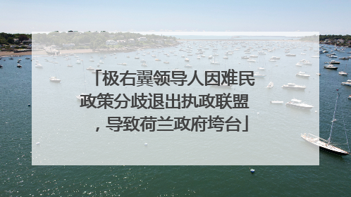 极右翼领导人因难民政策分歧退出执政联盟，导致荷兰政府垮台
