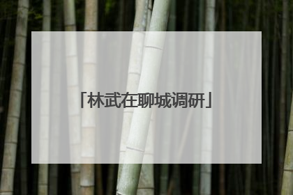 林武在聊城调研