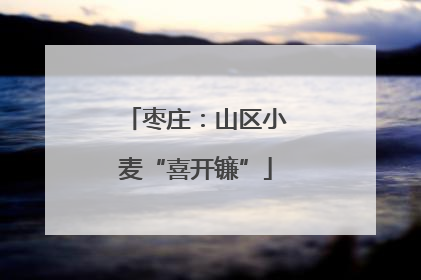 枣庄：山区小麦“喜开镰”
