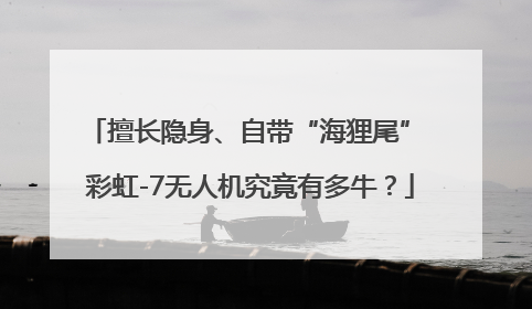擅长隐身、自带“海狸尾” 彩虹-7无人机究竟有多牛？
