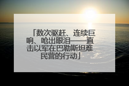 数次驱赶、连续巨响、呛出眼泪——直击以军在巴勒斯坦难民营的行动