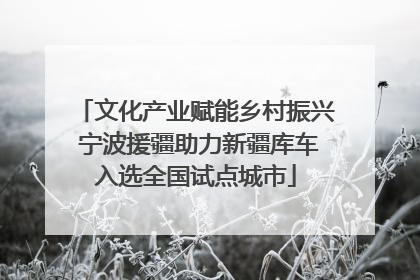 文化产业赋能乡村振兴 宁波援疆助力新疆库车入选全国试点城市