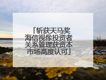 斩获天马奖 海信视像投资者关系管理获资本市场高度认可