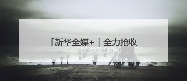 新华全媒+｜全力抢收夏粮 确保颗粒归仓
