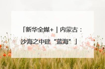 新华全媒+｜内蒙古：沙海之中建“蓝海”