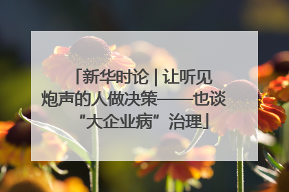新华时论 | 让听见炮声的人做决策——也谈“大企业病”治理