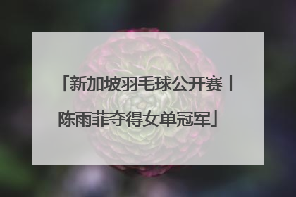 新加坡羽毛球公开赛丨陈雨菲夺得女单冠军