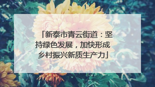 新泰市青云街道：坚持绿色发展，加快形成乡村振兴新质生产力