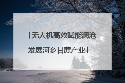无人机高效赋能澜沧发展河乡甘蔗产业