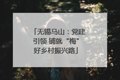 无锡马山：党建引领 铺就“梅”好乡村振兴路