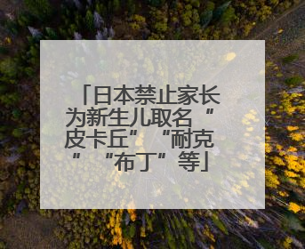 日本禁止家长为新生儿取名“皮卡丘”“耐克”“布丁”等