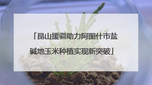 昆山援疆助力阿图什市盐碱地玉米种植实现新突破