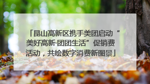 昆山高新区携手美团启动“美好高新·团团生活”促销费活动，共绘数字消费新图景