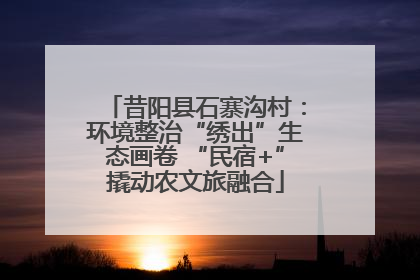 昔阳县石寨沟村：环境整治“绣出”生态画卷 “民宿+”撬动农文旅融合