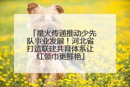 星火传递推动少先队事业发展！河北省打造联建共育体系让红领巾更鲜艳