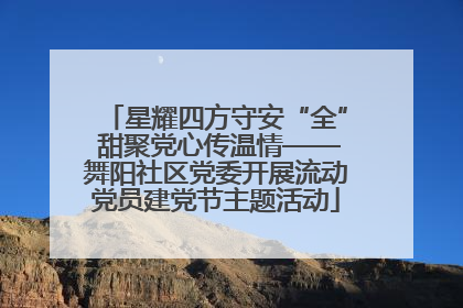星耀四方守安“全” 甜聚党心传温情——舞阳社区党委开展流动党员建党节主题活动