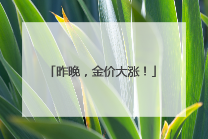 昨晚，金价大涨！