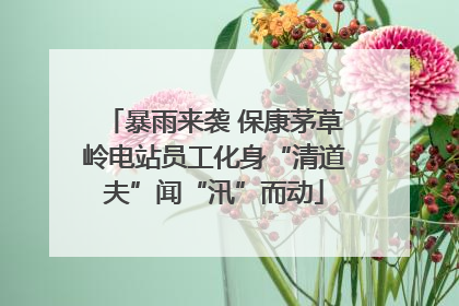 暴雨来袭 保康茅草岭电站员工化身“清道夫”闻“汛”而动