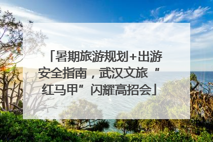 暑期旅游规划+出游安全指南，武汉文旅“红马甲”闪耀高招会
